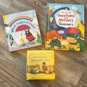 Usborne book lot